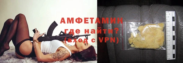 сатива Новозыбков